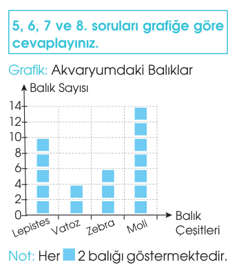 soru gorseli
