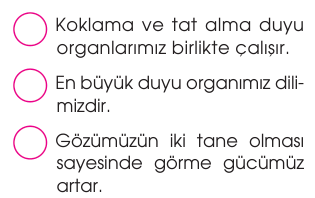 soru gorseli