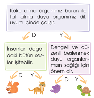 soru gorseli