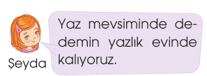 soru gorseli