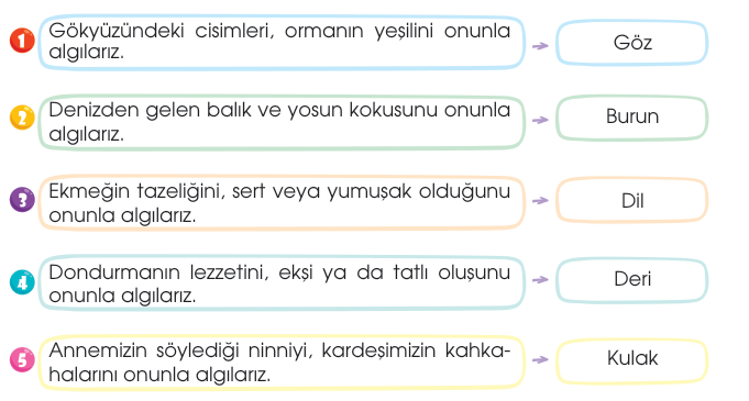 soru gorseli