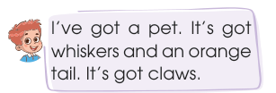 soru gorseli