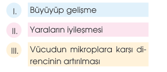 soru gorseli
