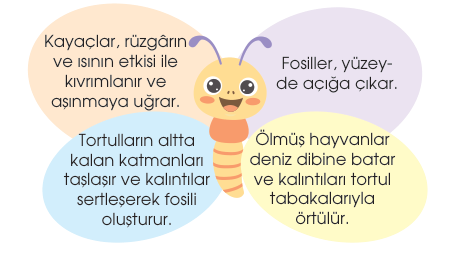 soru gorseli