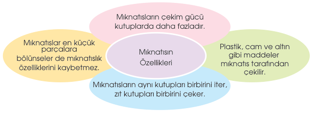 soru gorseli