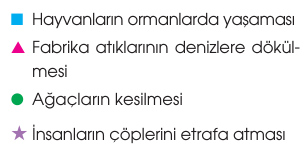 soru gorseli