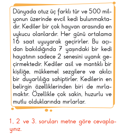 soru gorseli