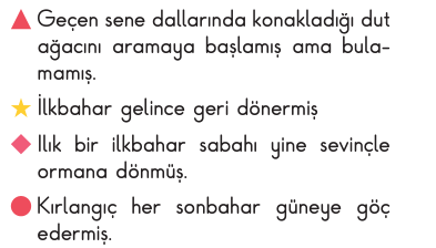 soru gorseli