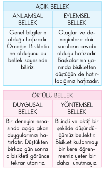 soru gorseli