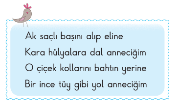 soru gorseli