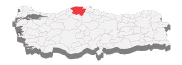 soru gorseli