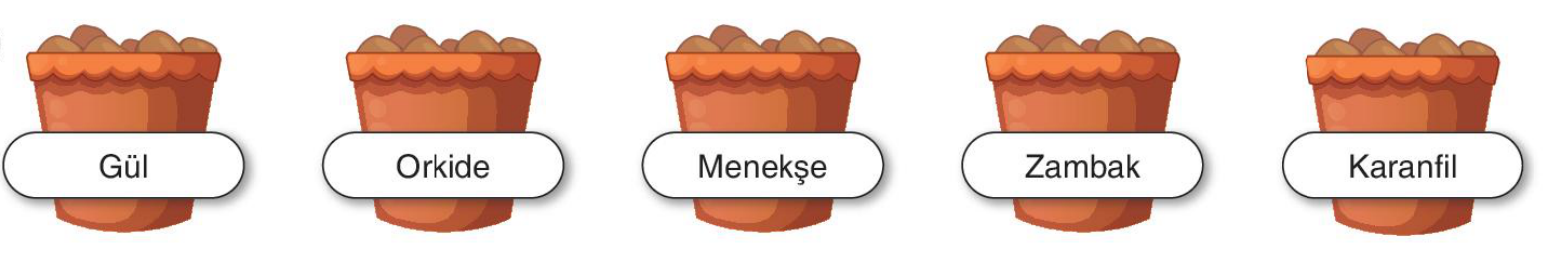 sik gorseli