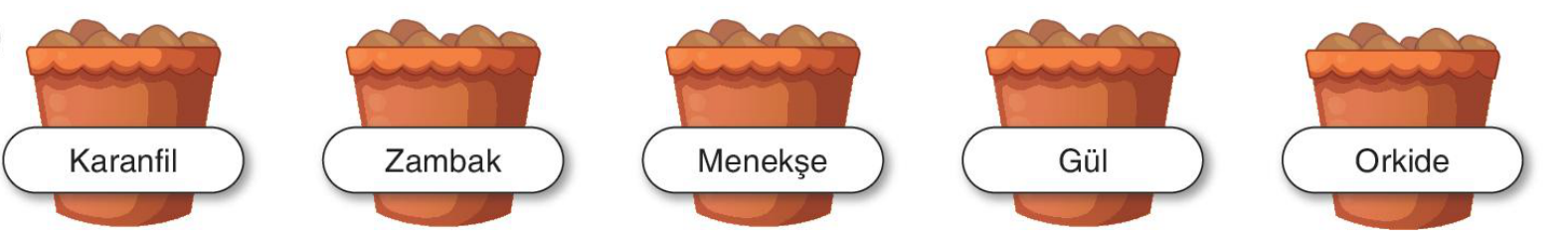 sik gorseli