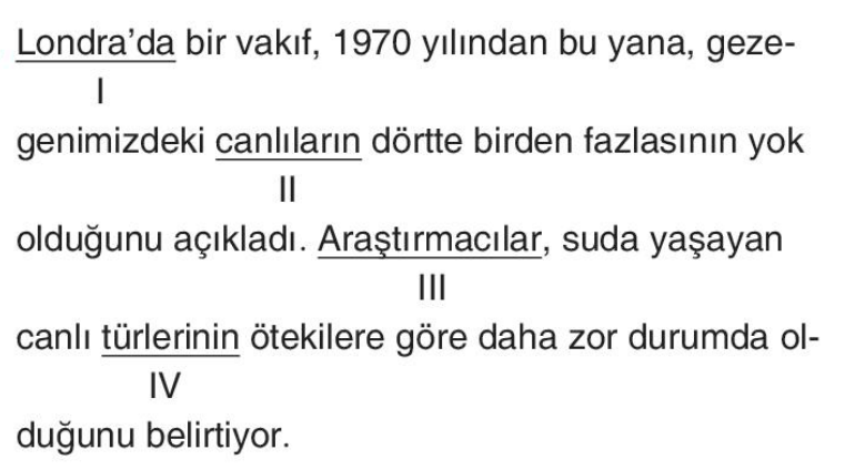 soru gorseli